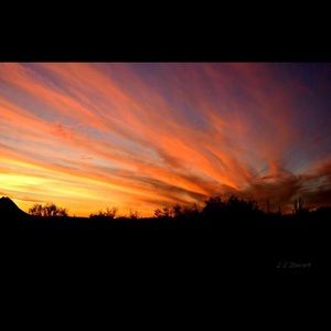 Meet your Posher, Dani